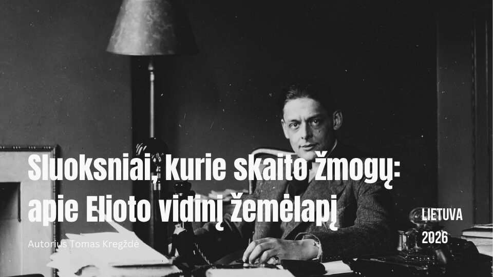 STRAIPSNIAI-10.jpg