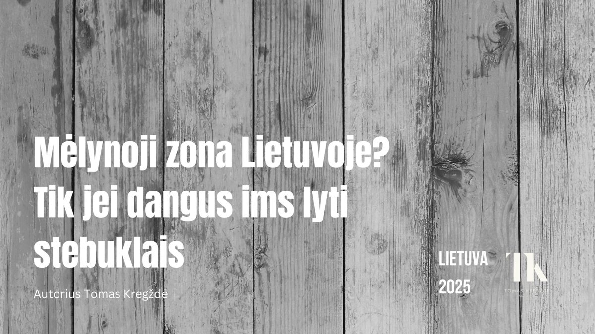 Lietuvos_kultura_ir_menas___40_.jpg